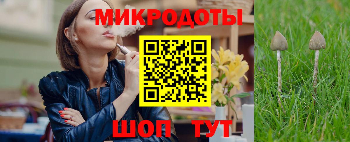 Псилоцибиновые грибы Cubensis  Вход с VPN  Муром 